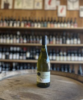 P’tit Chardonnay  2024 Domaine  Les Vigneaux